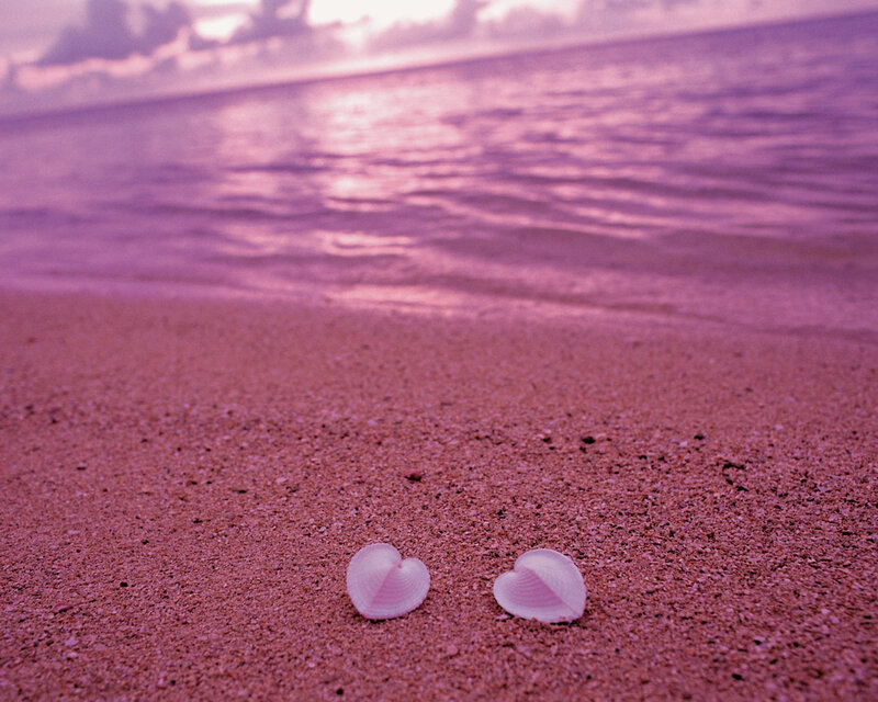 Heart-shaped Shells on Sand