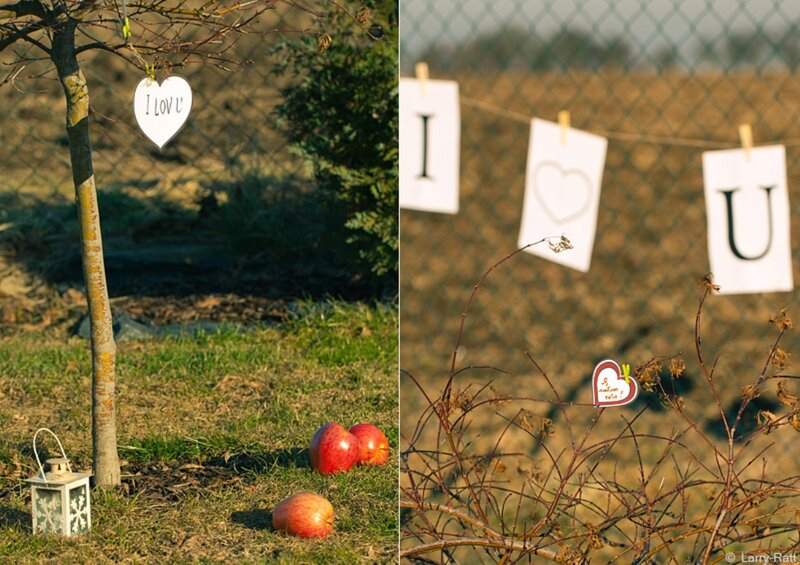 Heart-shaped Sign on Tree