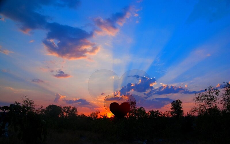 Heart-shaped Silhouette
