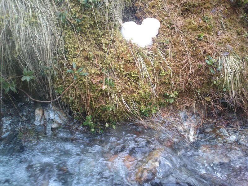 Heart-shaped Snow Patch