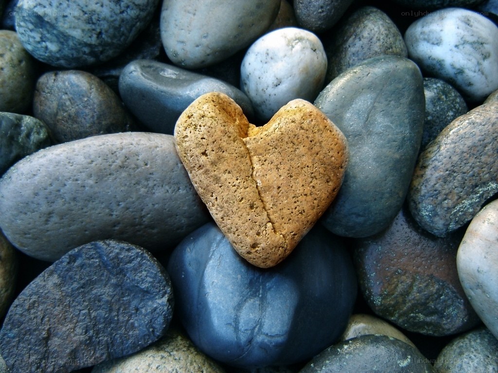 heart-shaped stone among pebbles