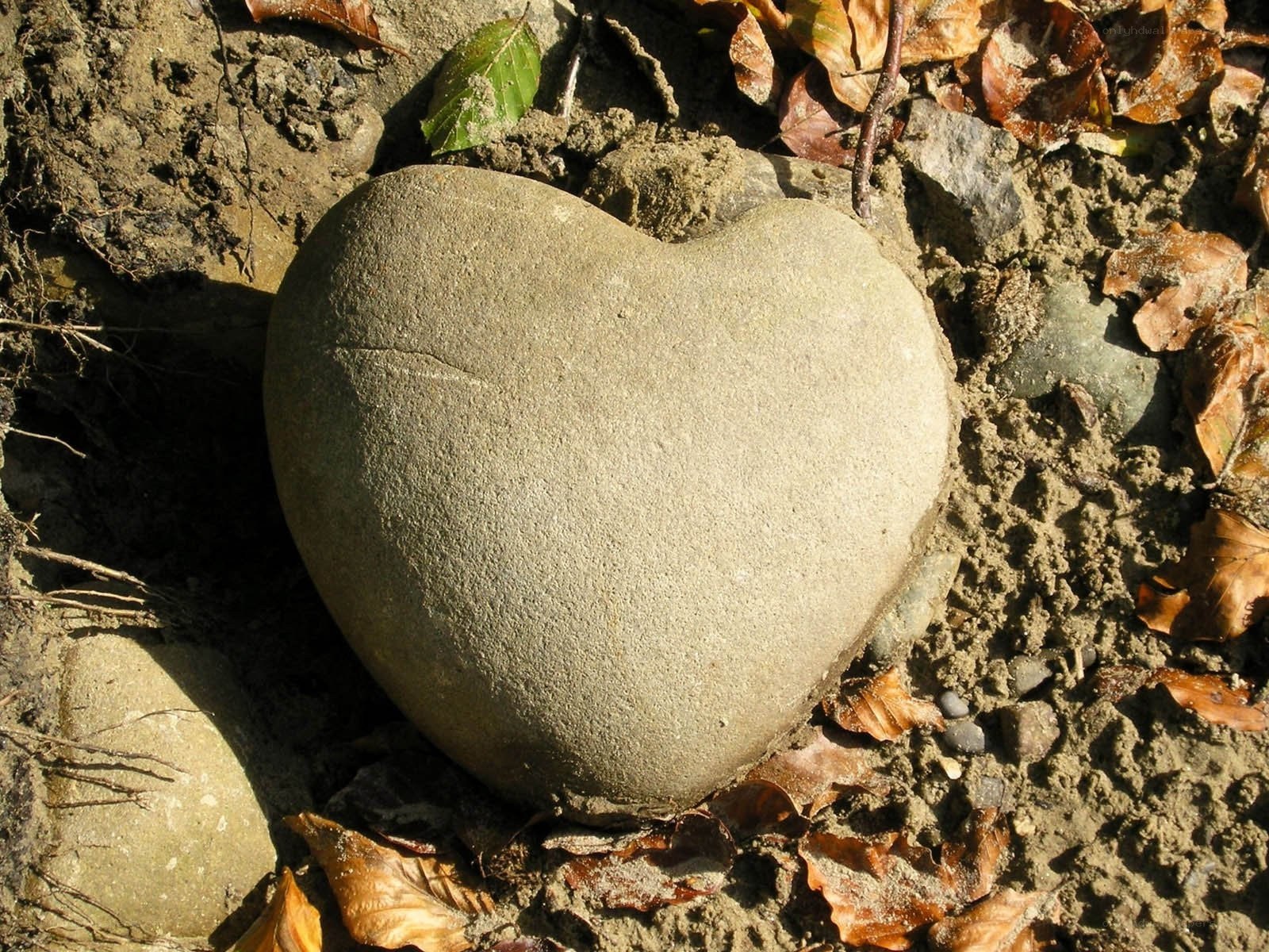 Heart-shaped stone in soil