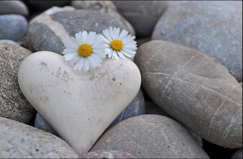 Heart-shaped Stone with Daisies — Gray