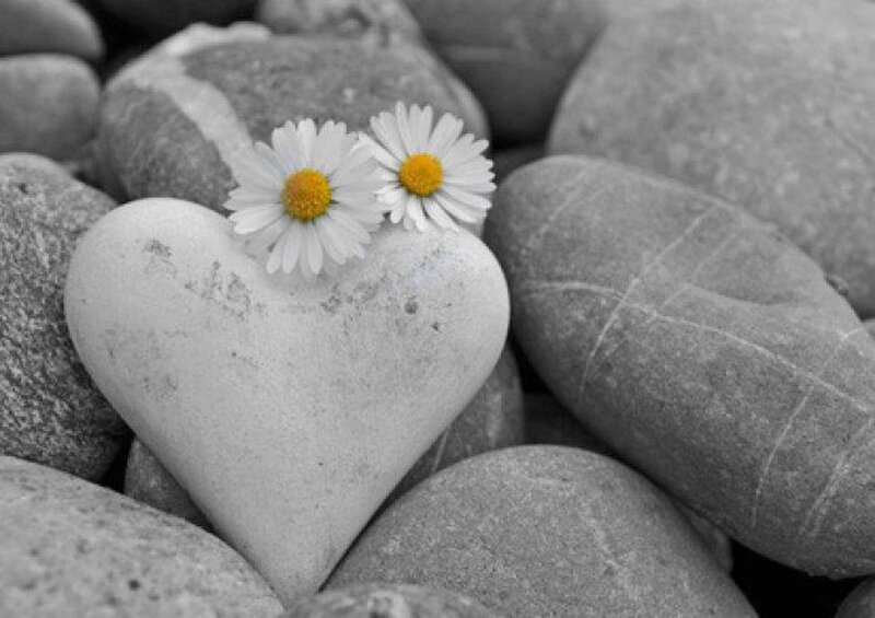 Heart-shaped Stone with Daisies