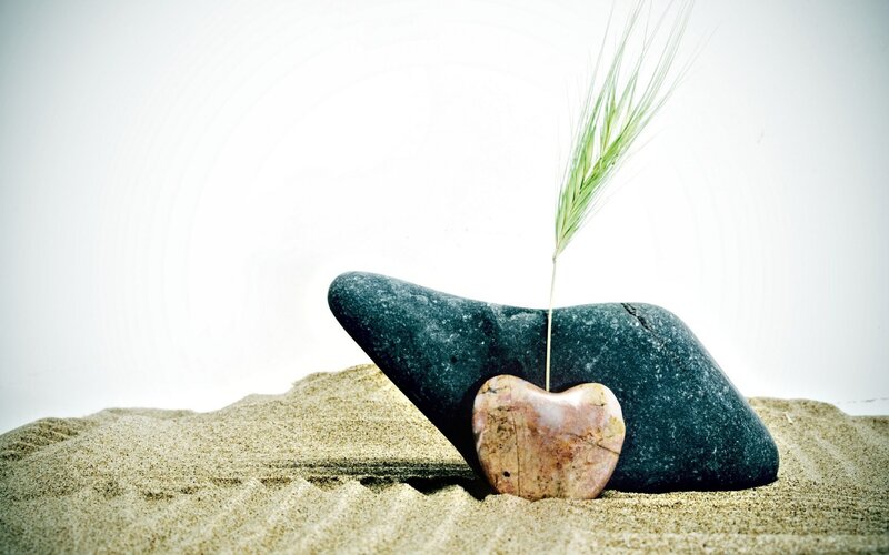 Heart-shaped Stone with Grass