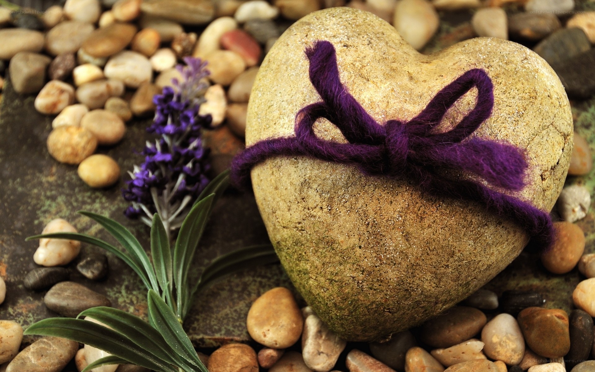 heart-shaped stone with purple ribbon