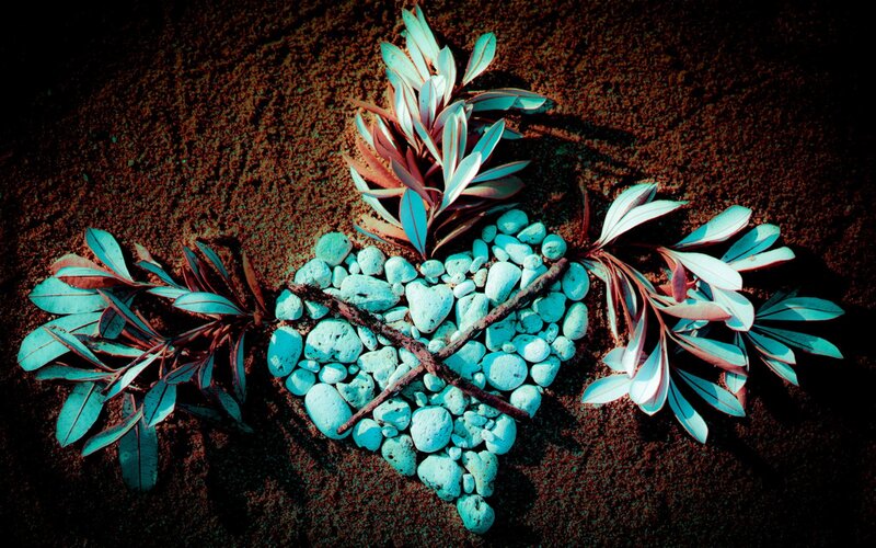 Heart-shaped Stones and Leaves
