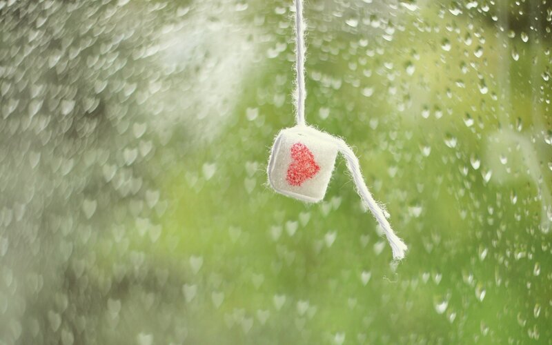 heart-shaped tea bag