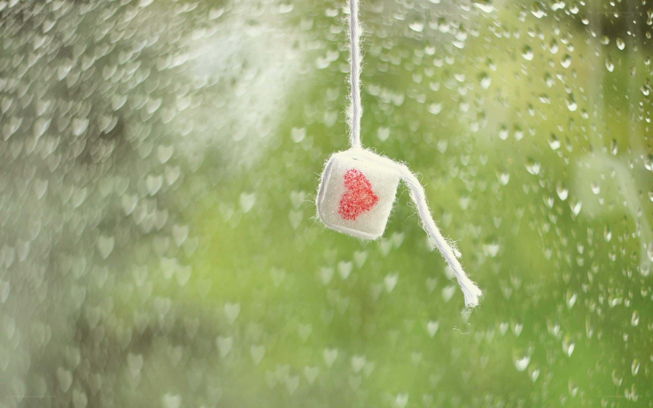 heart-shaped tea bag