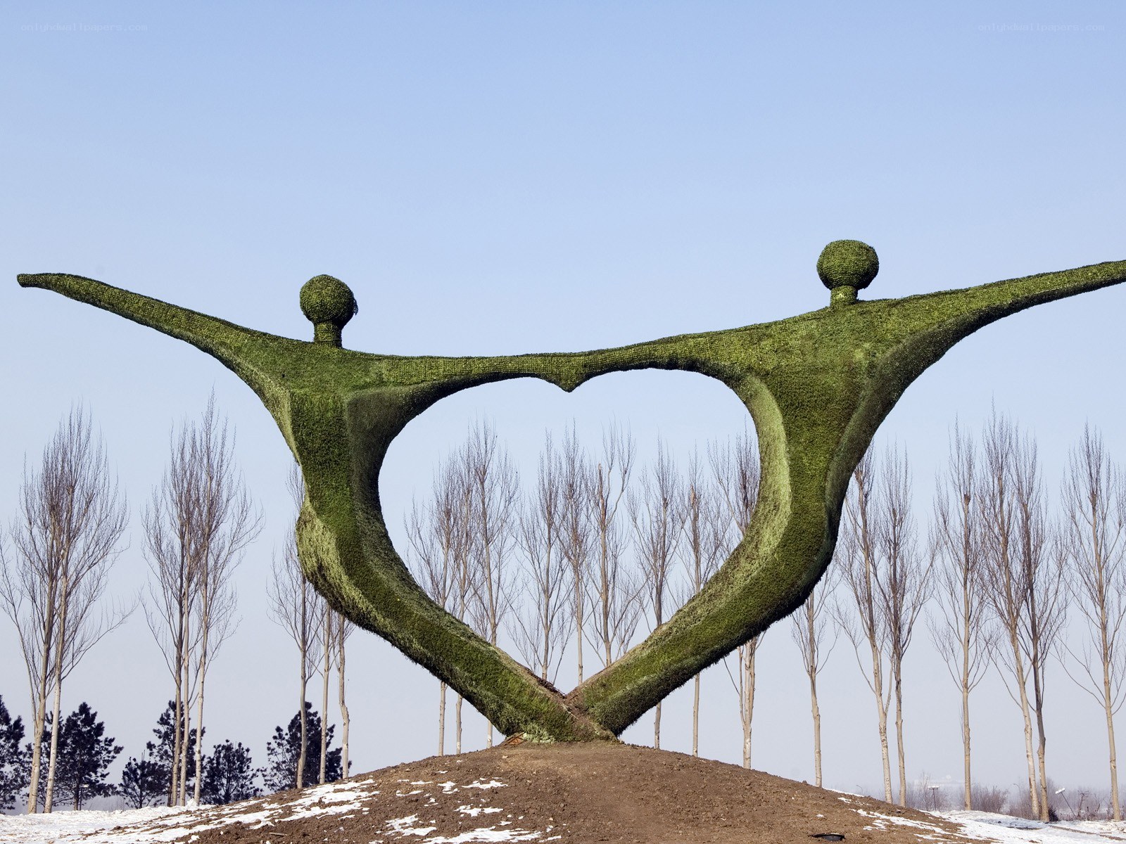 Heart-shaped topiary sculpture