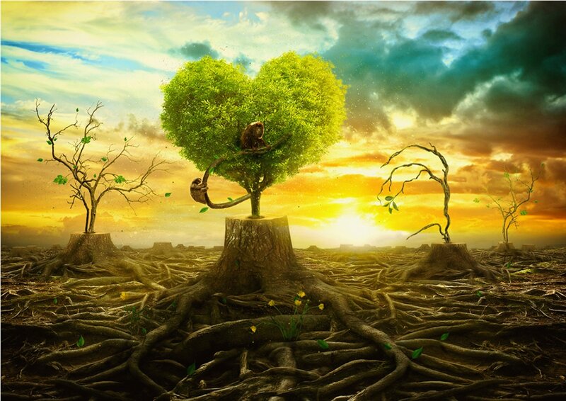 Heart-shaped Tree — Green, Dramatic, Sunset