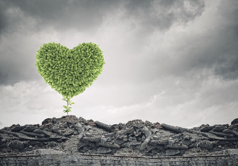 Heart-shaped Tree — Green, Dramatic