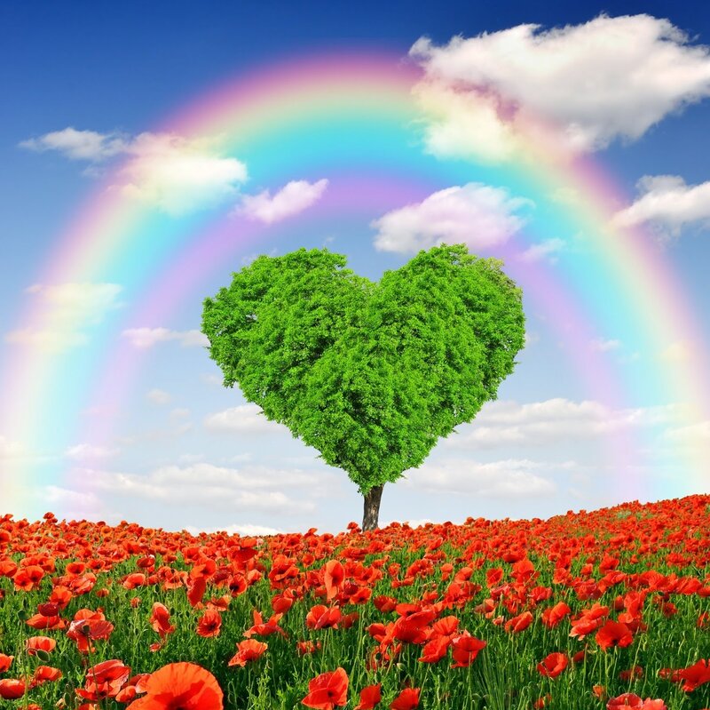 Heart-shaped Tree — Green, Serene, Afternoon, Digital Art, Rainbow