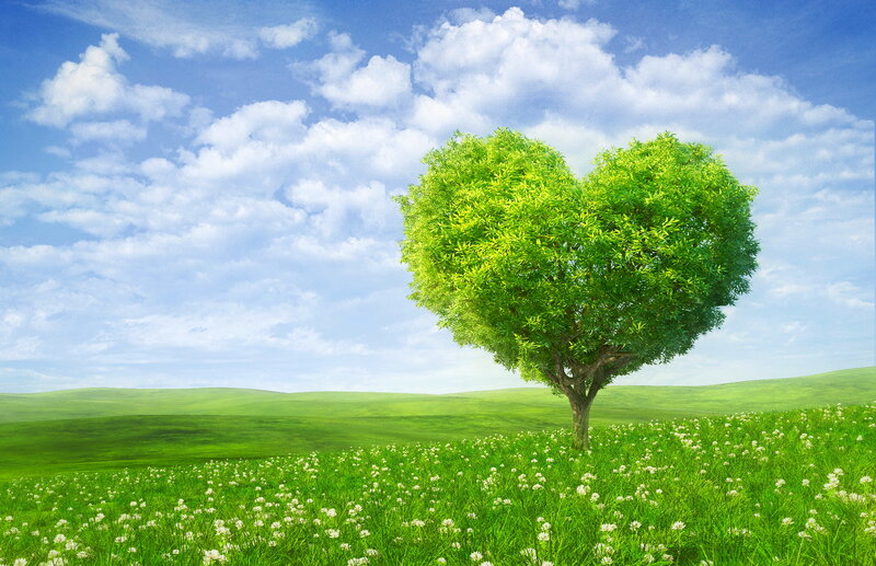 Heart-shaped Tree — Green, Serene, Afternoon, Digital Art