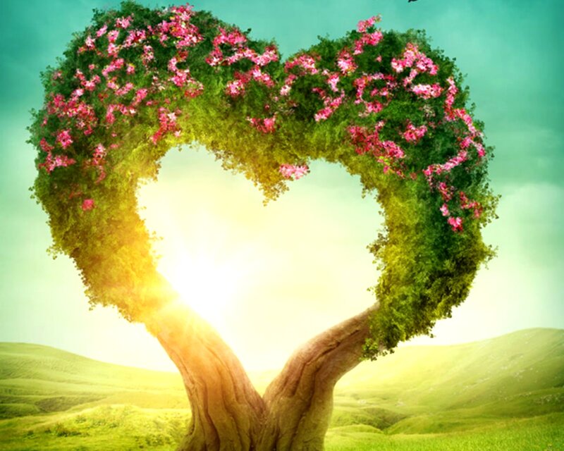 Heart-shaped Tree — Green, Serene, Morning, Digital Art