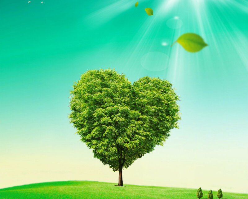 Heart-shaped Tree — Green, Serene, Morning