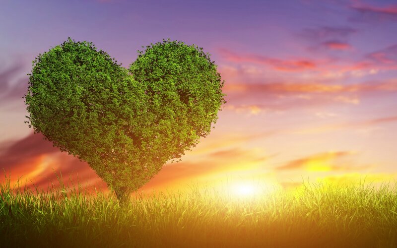 Heart-shaped Tree — Green, Serene, Sunset