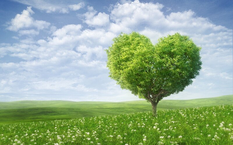 Heart-shaped Tree — Green, Serene