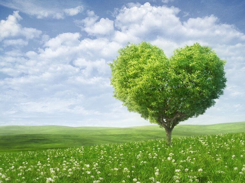 Heart-shaped Tree — Green