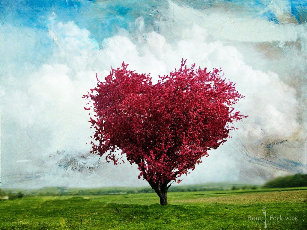 heart-shaped tree in a field