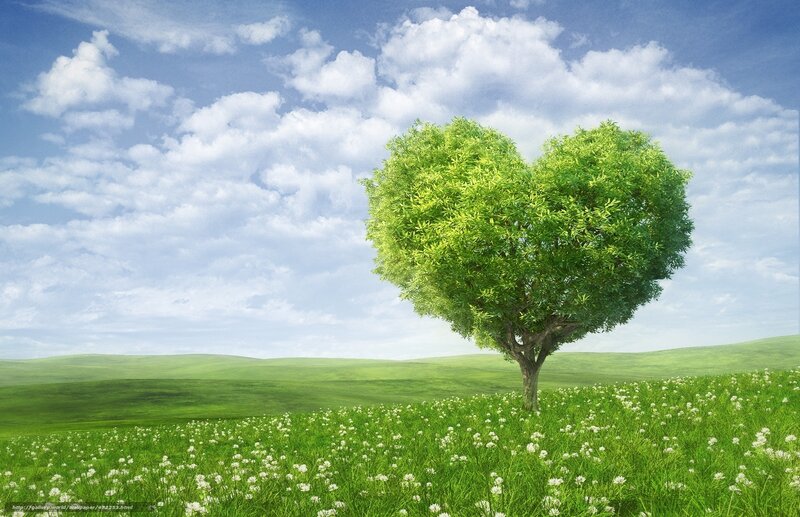 Heart-shaped tree in a green field