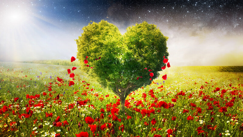 Heart-shaped Tree in Field — Green, Serene