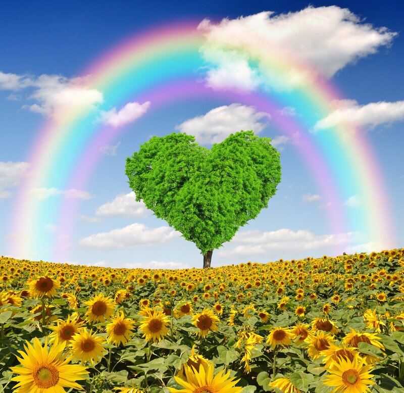 Heart-shaped Tree in Field — Yellow