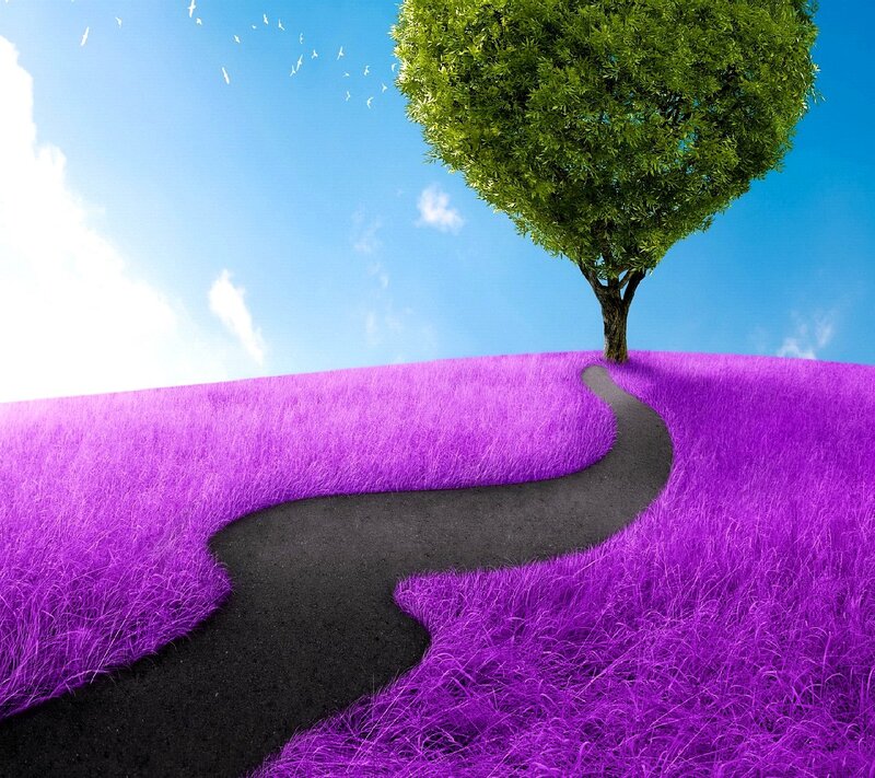 Heart-shaped Tree on Purple Hill