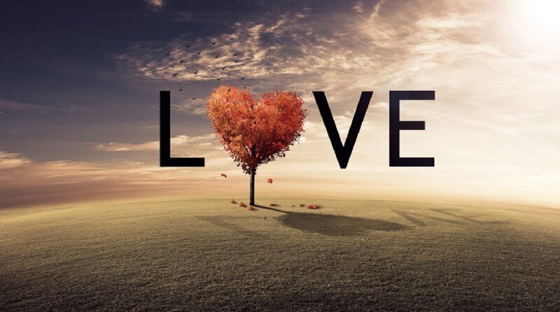 Heart-shaped Tree — Orange