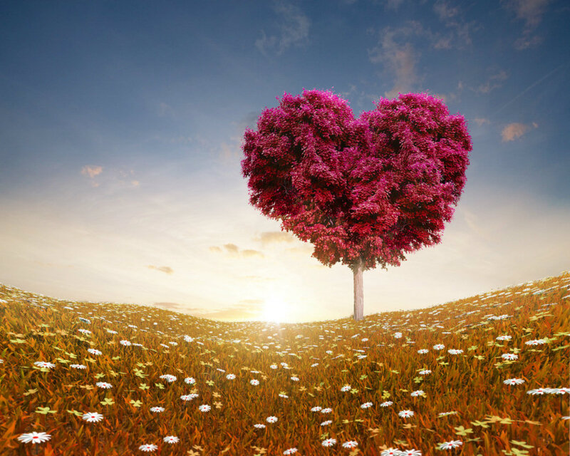 Heart-shaped Tree — Pink, Serene