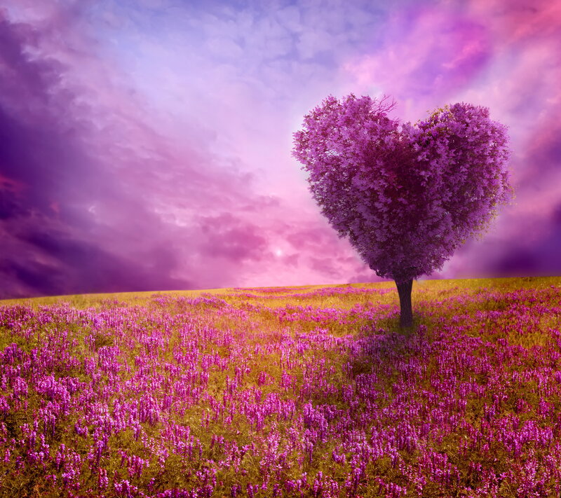 Heart-shaped Tree — Purple, Dreamy
