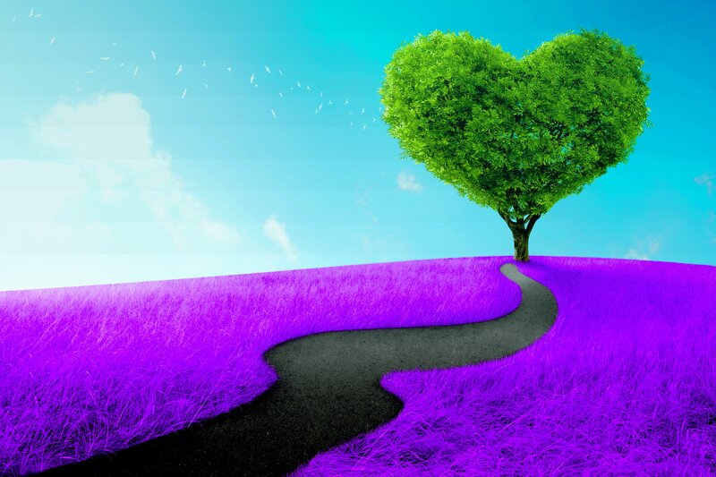 Heart-shaped Tree — Purple, Serene, Afternoon, Digital Art, Path