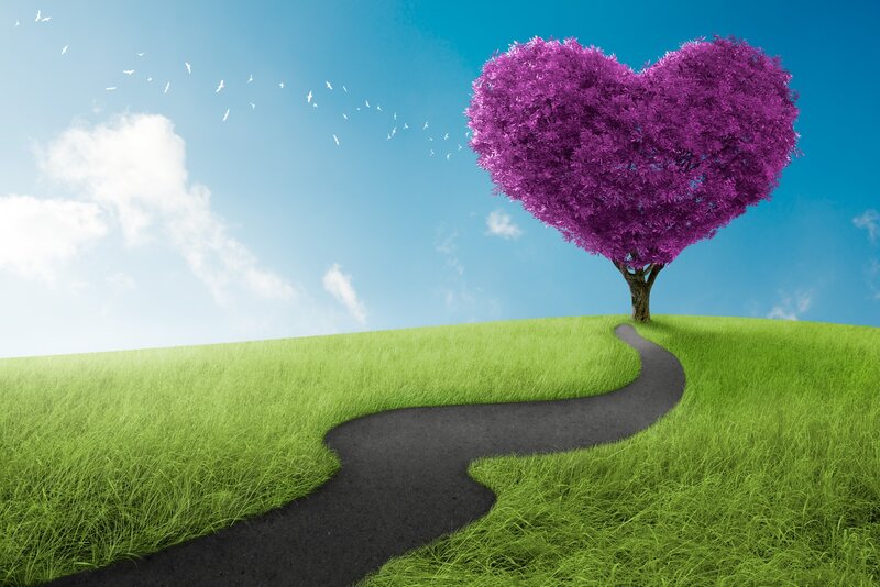 Heart-shaped Tree — Purple, Serene, Afternoon, Digital Art