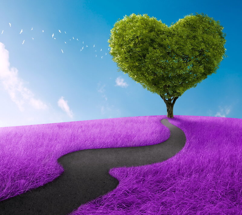 Heart-shaped Tree — Purple, Serene, Afternoon