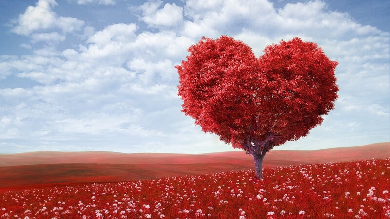 Heart-shaped Tree — Red, Serene, Afternoon, Digital Art, Field, Sky