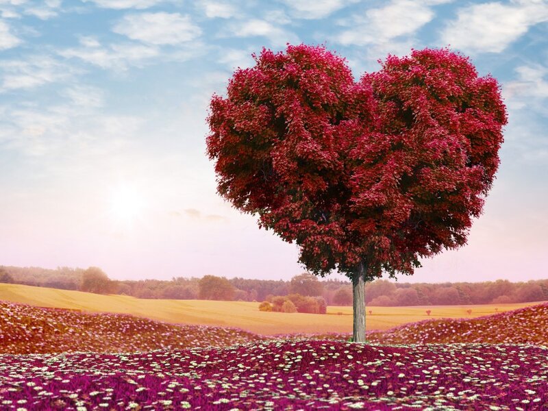 Heart-shaped Tree — Red, Serene, Afternoon, Digital Art, Field