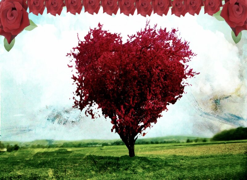 Heart-shaped Tree — Red, Serene, Afternoon, Digital Art