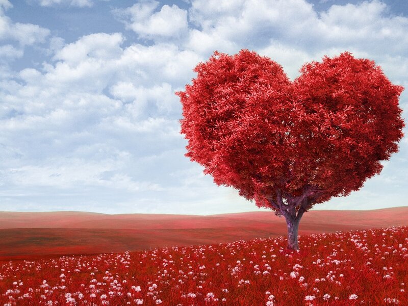 Heart-shaped Tree — Red, Serene, Afternoon