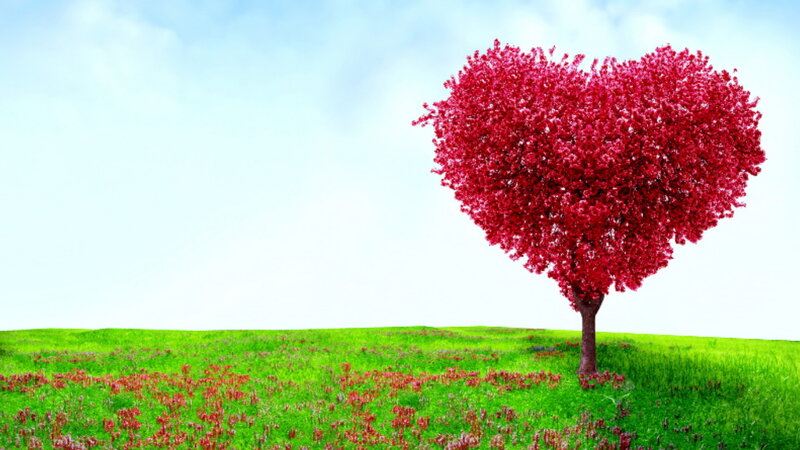 Heart-shaped Tree — Red, Serene, Spring