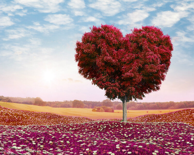 Heart-shaped Tree — Red, Serene, Sunset, Digital Art, Field, Sky
