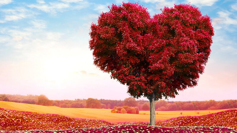 Heart-shaped Tree — Red, Serene, Sunset, Digital Art, Field