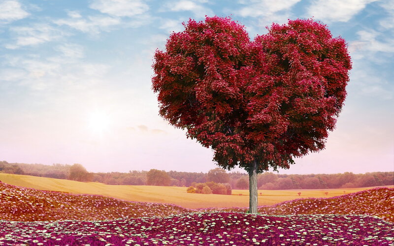 Heart-shaped Tree — Red, Serene, Sunset, Digital Art