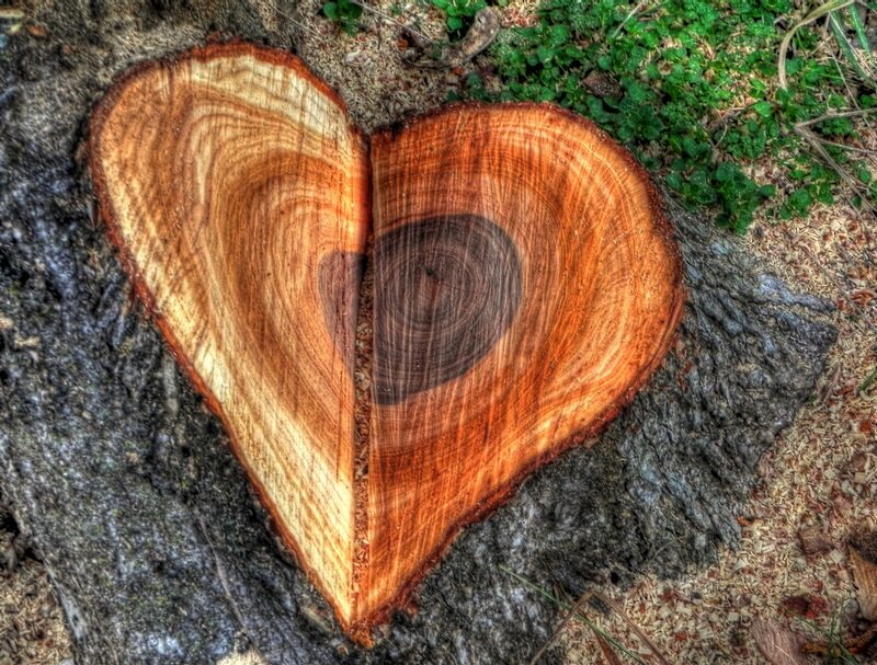 Heart-shaped Tree Stump