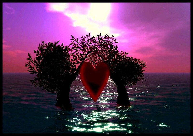 heart-shaped trees at sunset