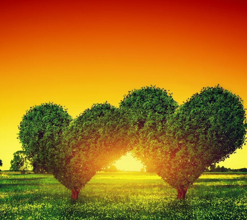Heart-shaped Trees — Green