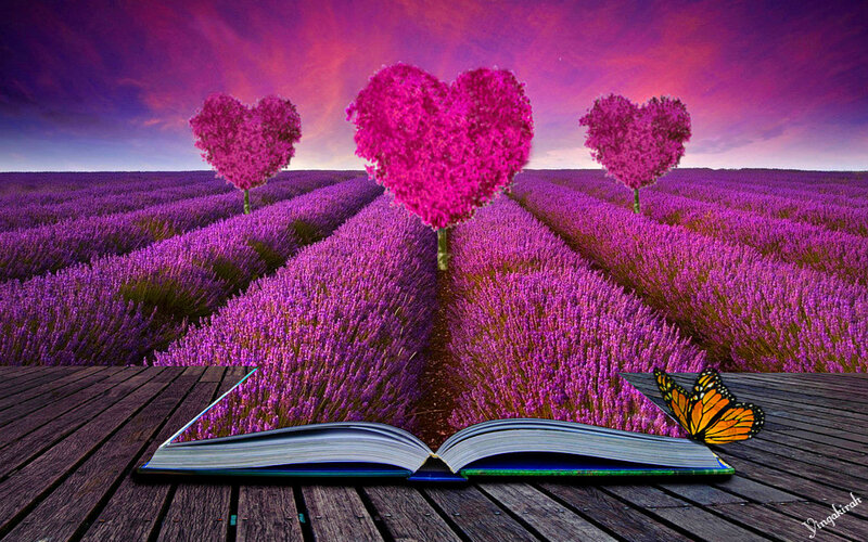 Heart-shaped Trees in Lavender Field