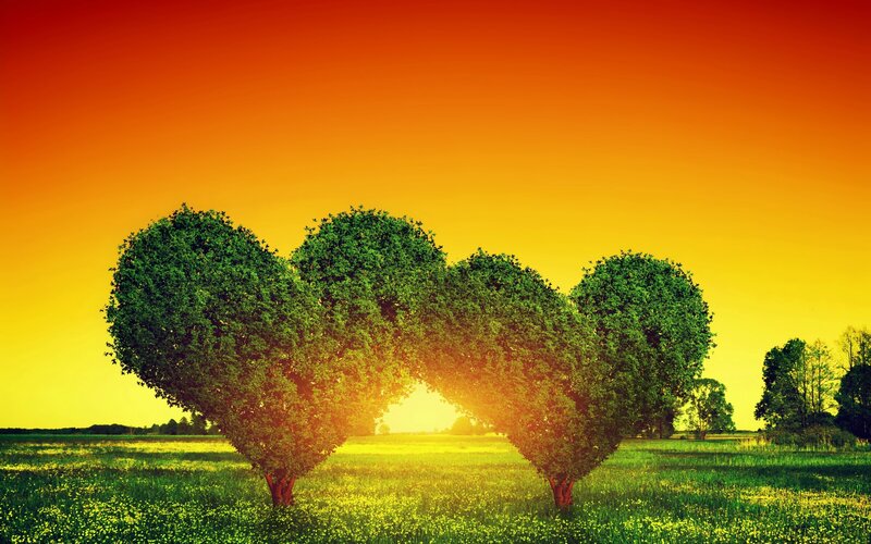 Heart-shaped Trees