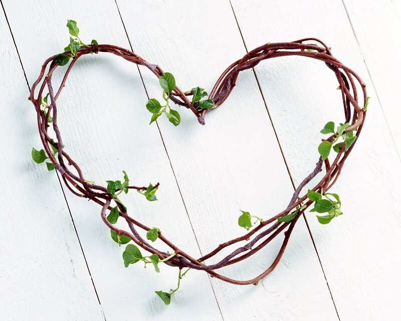 heart-shaped vine wreath