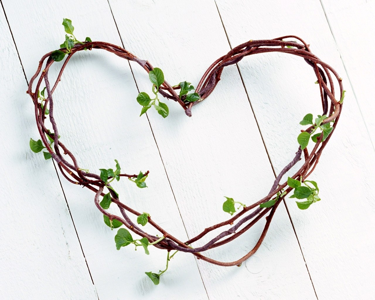 heart-shaped vine wreath