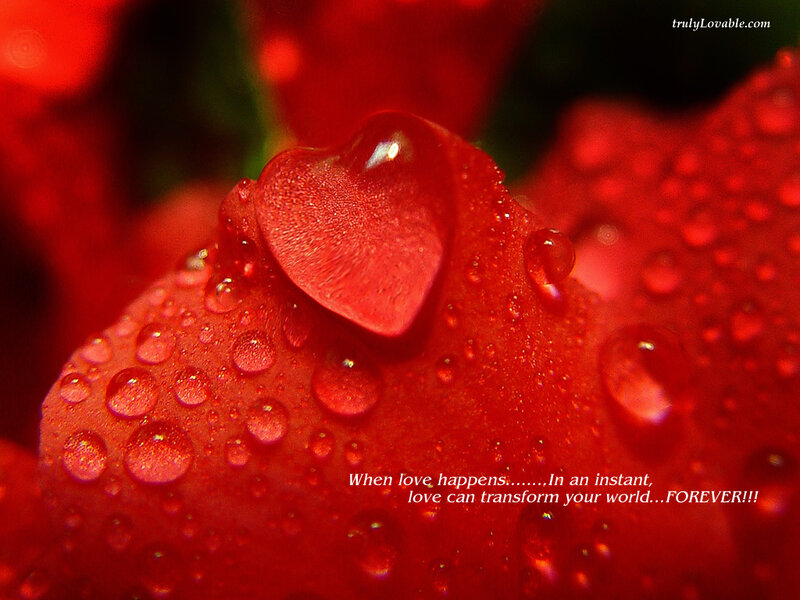 heart-shaped water droplet on red petal